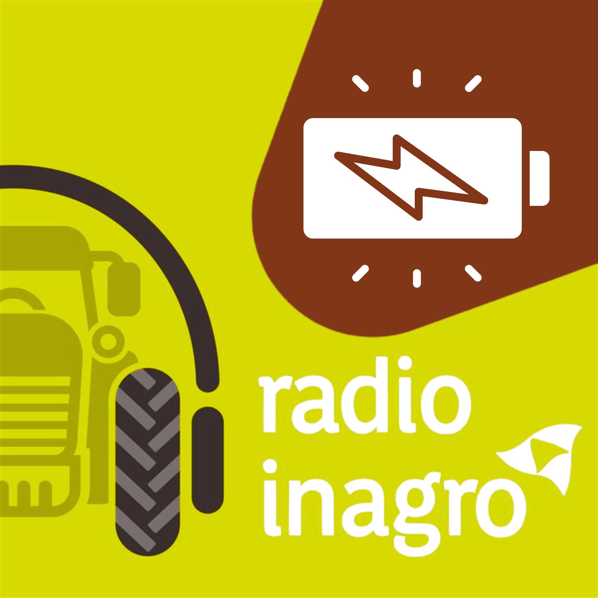 Energie: de pocketvergister